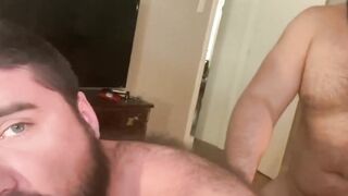 Hairy bear bareback hard pounded after passionate rimming