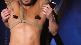 Suspended black gay butt plugged in threesome