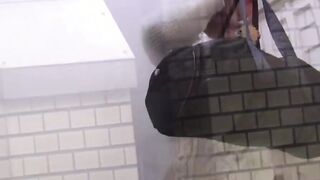 Voyeur video of Japanese girls pissing in public toilet