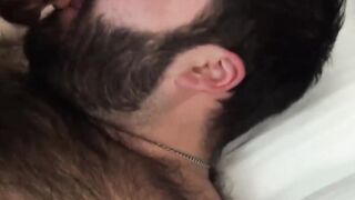 Naughty bear Sam Black fingered and ass drilled after BJ