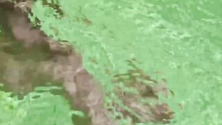 Tattooed Latino jock outdoor bareback hammered after blowjob