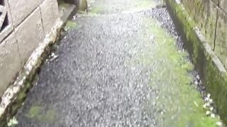 Japanese marvels in rush to deliver their brilliant showers