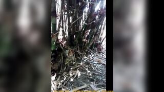African sluts outside into the forrest touching herself