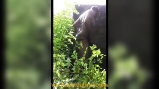 Natural body into the nature