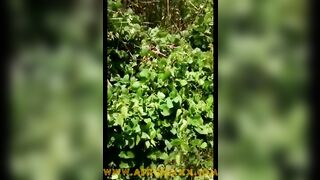 Filthy village cunt with mouth putting flowers into her vagina