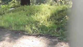 Voyeur catches kinky Japanese schoolgirls pissing in public
