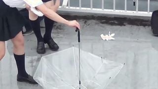 Rain does not stop Japanese chicks from peeing in public