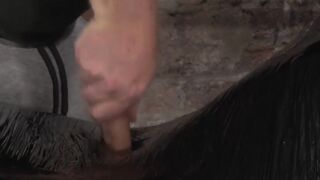 Loveable twink gets ducktaped all over only to be jacked off