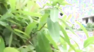 Tantalizing Japanese girl peeing in front of someone bicycle
