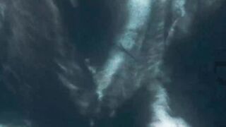 the curse of oak island S 11 24