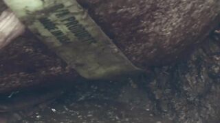 the curse of oak island S 11 24