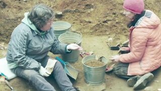 the curse of oak island S 11 24