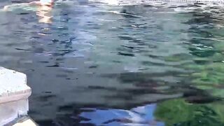 After going swimming blonde twinky strokes his cock