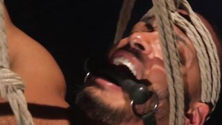 Suspended blindfolded gay cock sucked