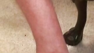Stud shows off his tattooed chiseled body and jerks off hard Hoe 2