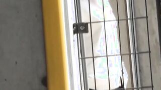 Japanese schoolgirls are peeing while voyeur films them