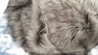 Picked up Hottie thanks me with rough sex