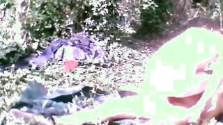 OLD CUPLE FUCKING IN FORESTO