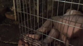 Horror Porn 3 The girl in the cage