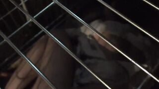 Horror Porn 3 The girl in the cage