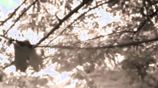 TWO MEN FUCKING MY WIFE IN FOREST