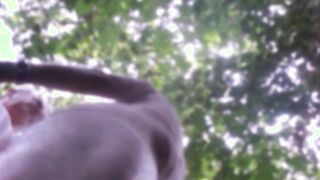 ass hole fucked in forest