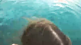 Accidentally Cum in her Pussy near the Rooftop Pool