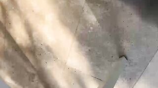 Fast and Furious Blowjob