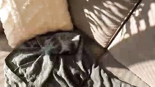 Horny Cute Stepsister Likes Riding on her Brother