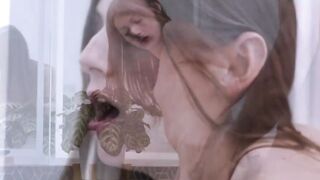 Tbabe Amanda Riley gives her brother in law a blowjob