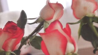 SOLO FEMALE - Flowery mirror riding