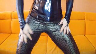 Wild pvc cat