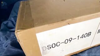 140 cm Dollhouse168 Silicone Shiori Doll Uboxing and Review