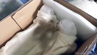 140 cm Dollhouse168 Silicone Shiori Doll Uboxing and Review