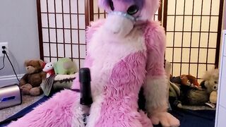 Vicky Tart Furry - Testing VacuGlide