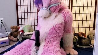Vicky Tart Furry - Testing VacuGlide