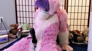 Vicky Tart Furry - Testing VacuGlide