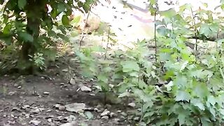 Long bearded amateur guy Squirell likes jerking off and draining his long dick down b