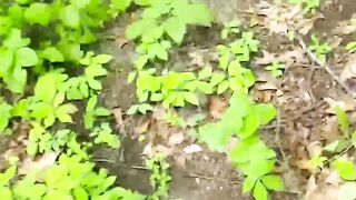 Young straight twink Joe wants his hard and horny wood receive cocksucking session in