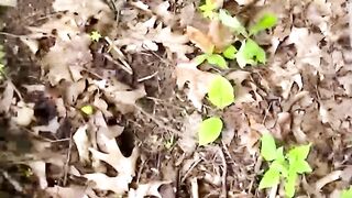 Young straight twink Joe wants his hard and horny wood receive cocksucking session in