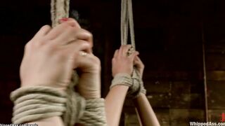 Bound dyke subs whipped and banged