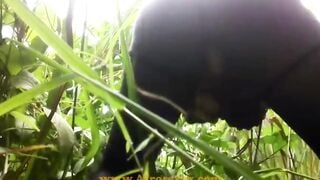 native Ebony toy masturbating into the jungle