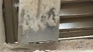 Lusty construction working twinks engage in anal drilling