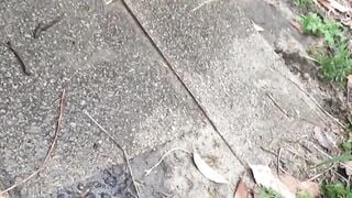 Japanese women shot peeing out in the open by fortunate voyeur