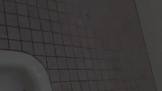 Hot Asian hairy pussies filmed by hidden camera while peeing