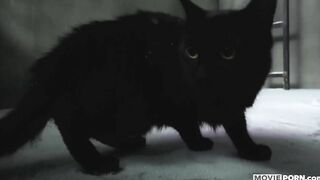 MOVIEPORN - Catwhore
