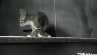 MOVIEPORN - Catwhore
