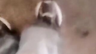Mature homo offers his ass and mouth to a young amateur