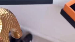 Sweetie Fox Diana Rider ArinaFox Sex Training On Villa