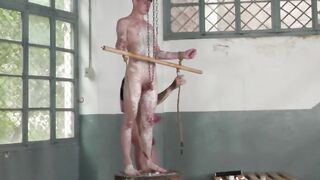 Lustful Xavier Sibley jerked cock and ate the creamy cum of bondage Taylor Mason